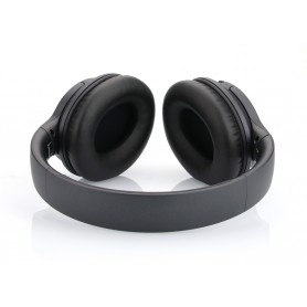 ANC 100 High Performance Bluetooth Headphone with EVA  case